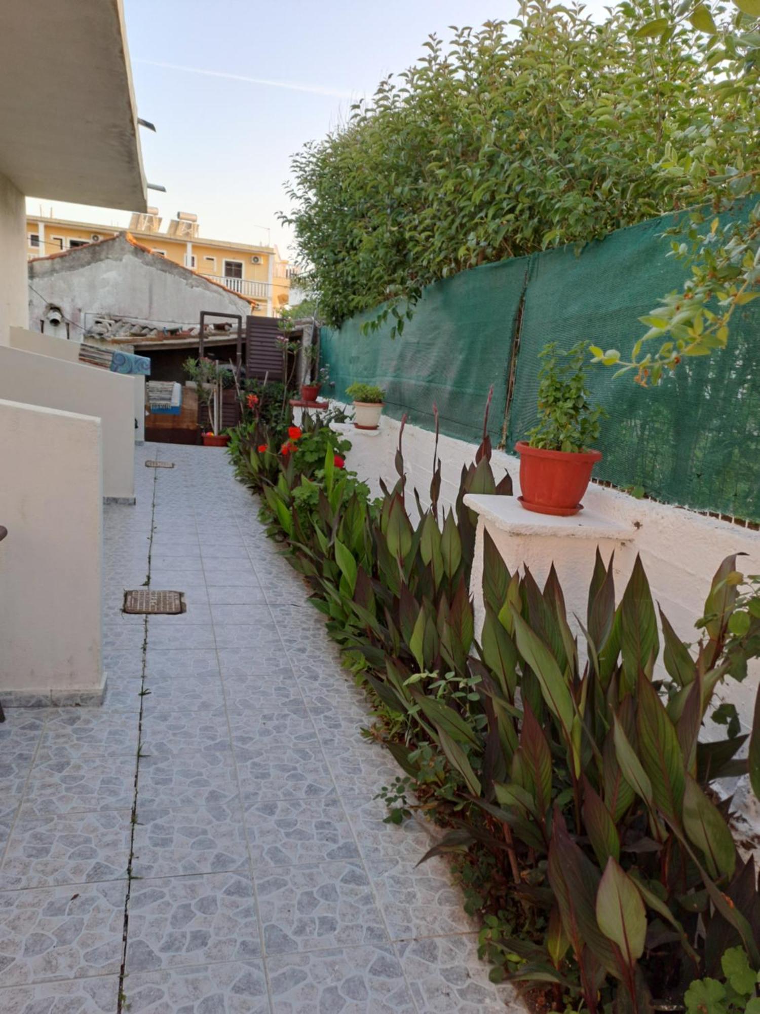 Tony'S Apartments Agios Georgios  Zewnętrze zdjęcie