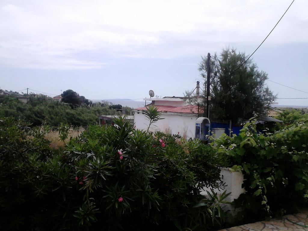 Tony'S Apartments Agios Georgios  Zewnętrze zdjęcie