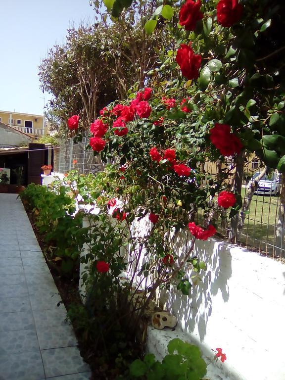 Tony'S Apartments Agios Georgios  Zewnętrze zdjęcie